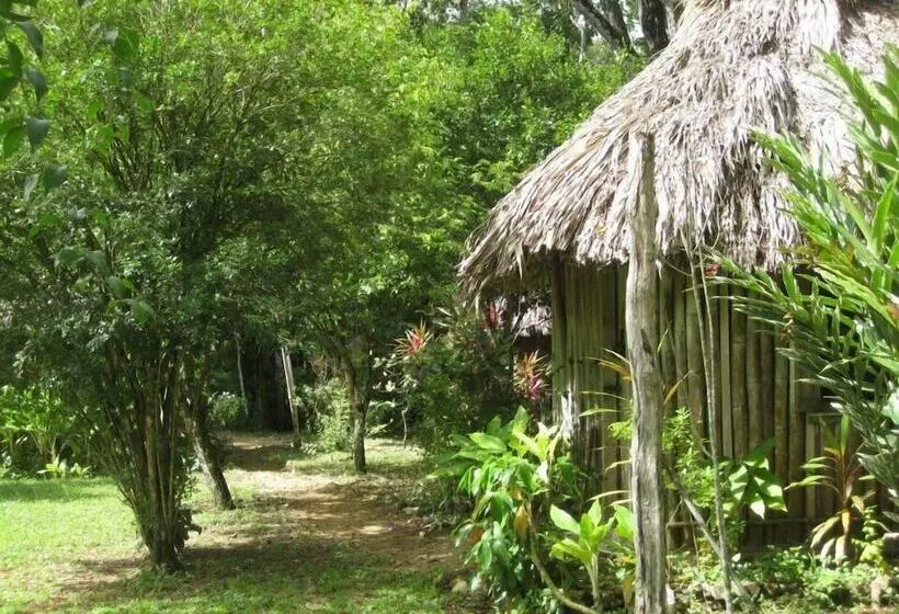 هتل Clarissa Falls Resort