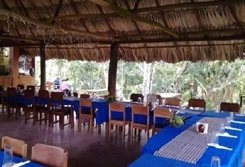 هتل Clarissa Falls Resort