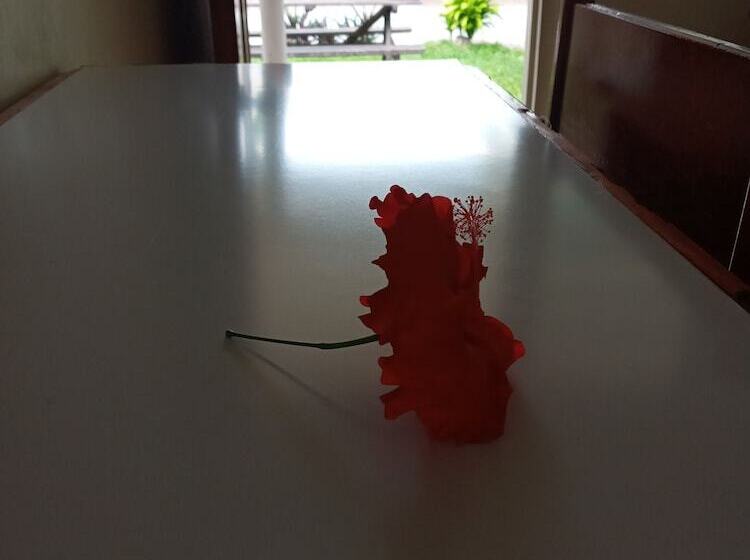 Tropicana Motel & Backpackers