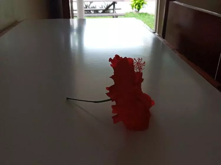 Tropicana Motel & Backpackers