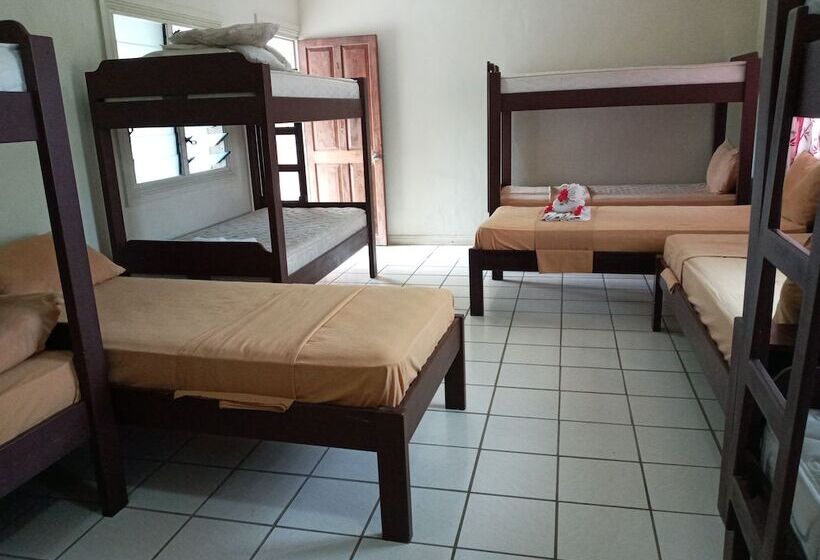 Tropicana Motel & Backpackers