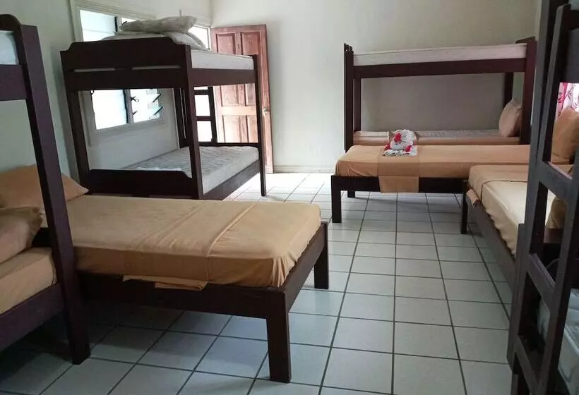 Tropicana Motel & Backpackers