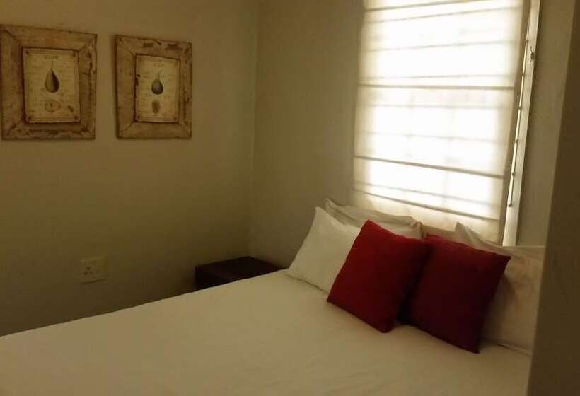 酒店 Bosheuvel Country Estate