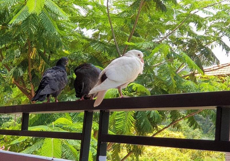 هتل Countryside Phu Quoc Resort