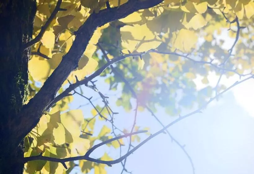 Hotelli Onsen Glamping Shimablue