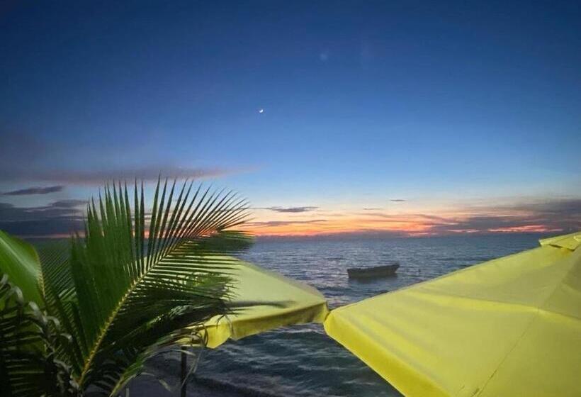 ペンション Posada Shekinah Barú