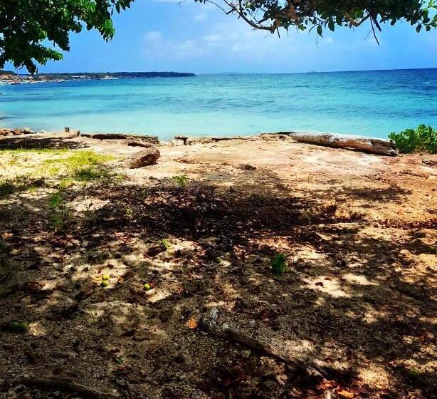 ペンション Posada Shekinah Barú