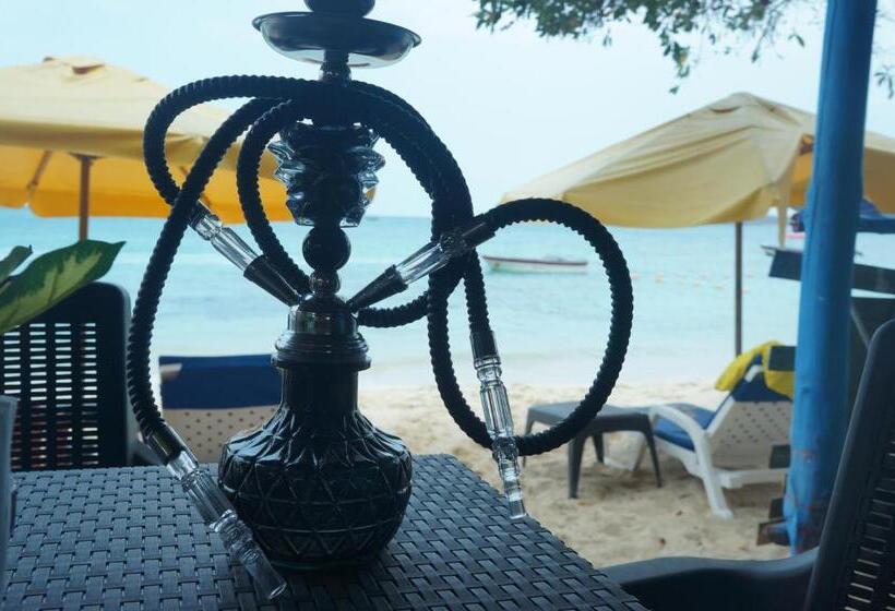 ペンション Posada Shekinah Barú