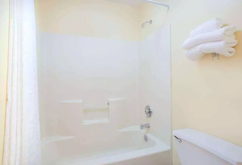 酒店 Baymont By Wyndham Forest City