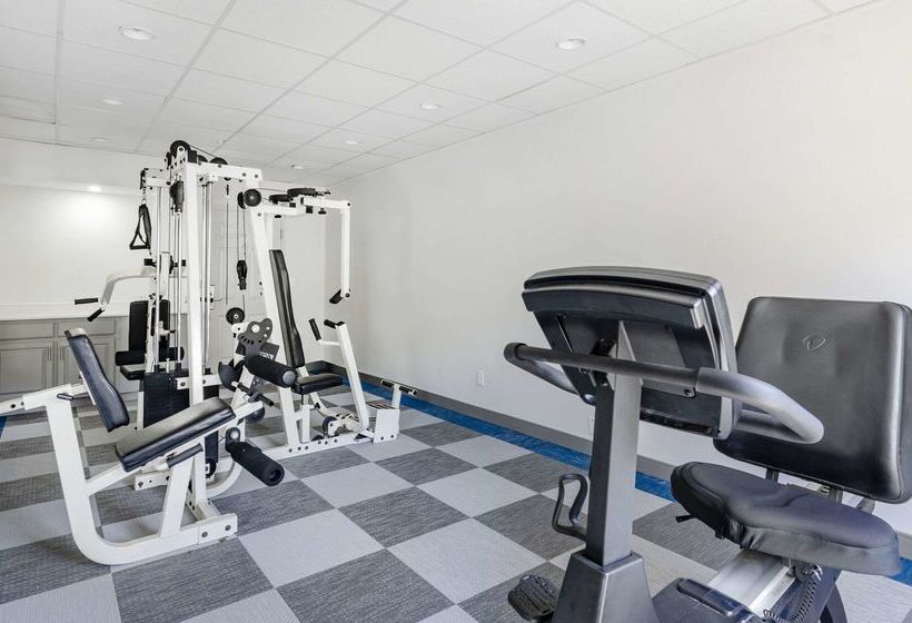 בית מלון כפרי Comfort Inn