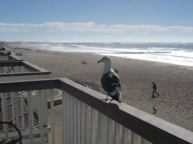 Отель Inn on the Beach