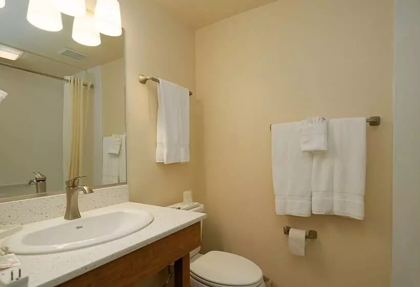 Отель Kellogg West Conference Center And