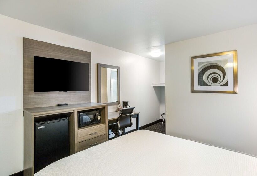 ホテル Knights Inn Yuma