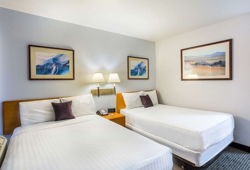 ホテル Knights Inn Yuma