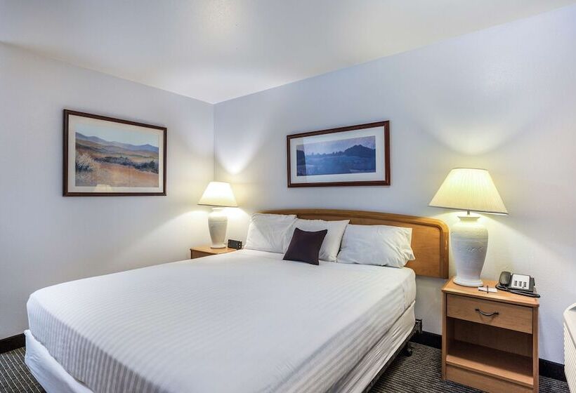 ホテル Knights Inn Yuma