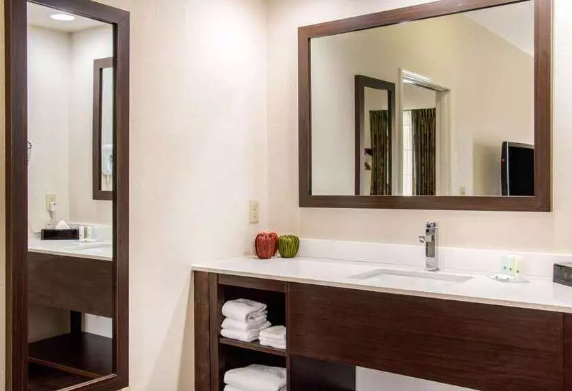 호텔 Quality Inn Pooler   Savannah I 95