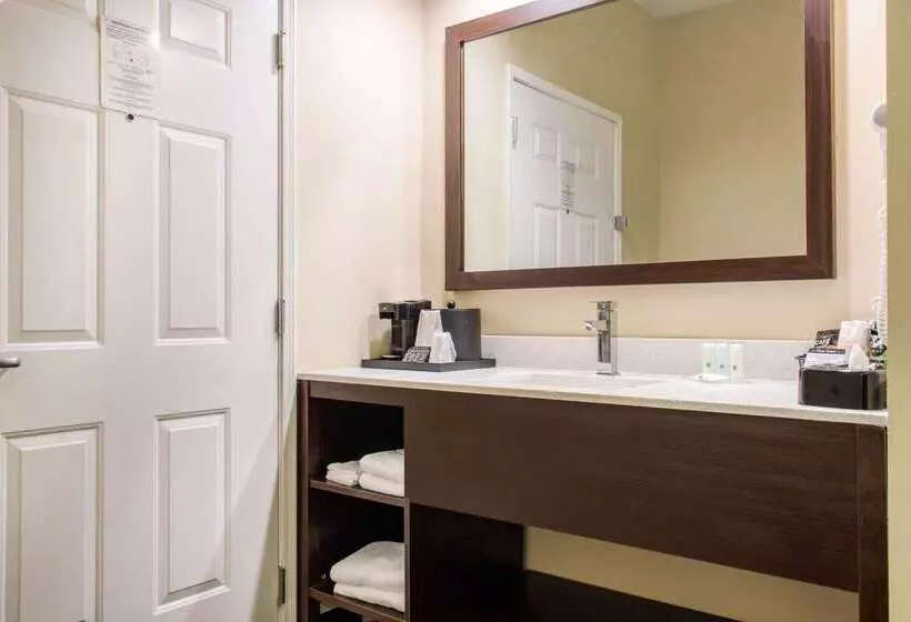 호텔 Quality Inn Pooler   Savannah I 95
