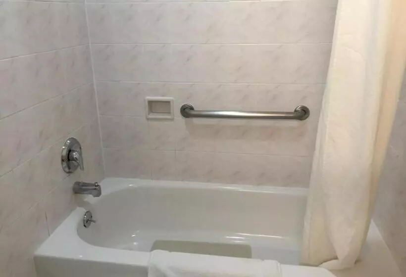 Отель Regency Inn At San Francisco Airport