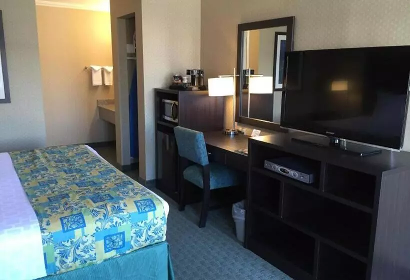 Отель Regency Inn At San Francisco Airport