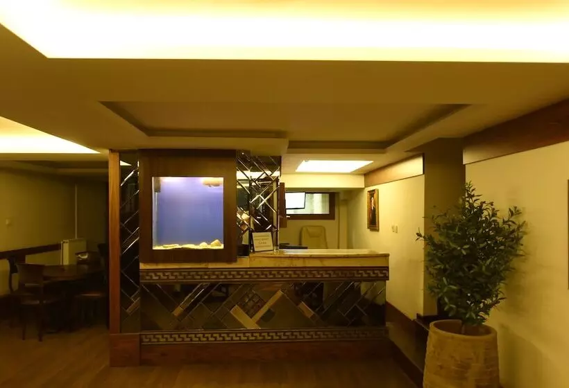 ベッドアンドブレックファースト Zeybek