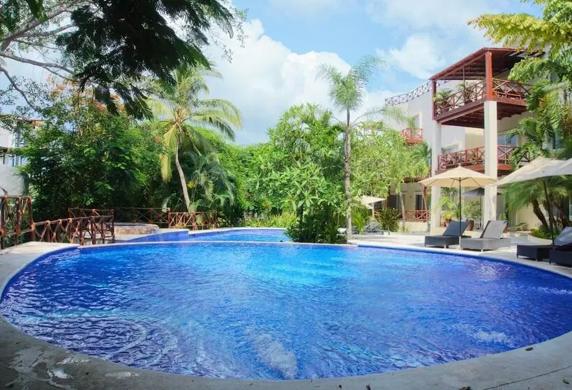 هاستل Pajaro De Fuego Pool & Terrace
