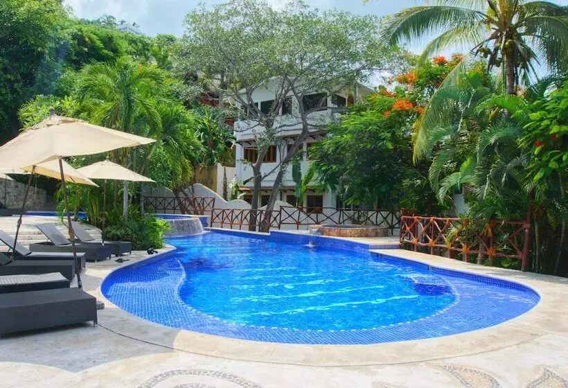 هاستل Pajaro De Fuego Pool & Terrace