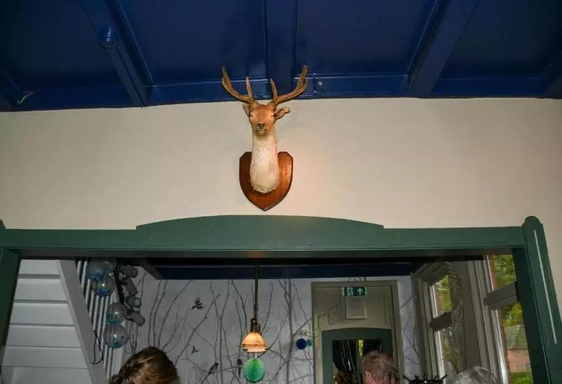 B&b Herberg Foestrum