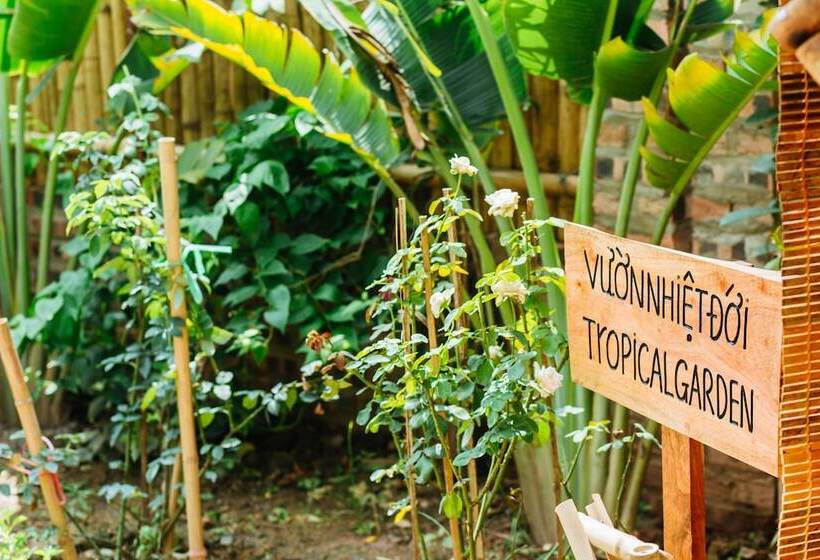 هتل Nan House  Tam Coc