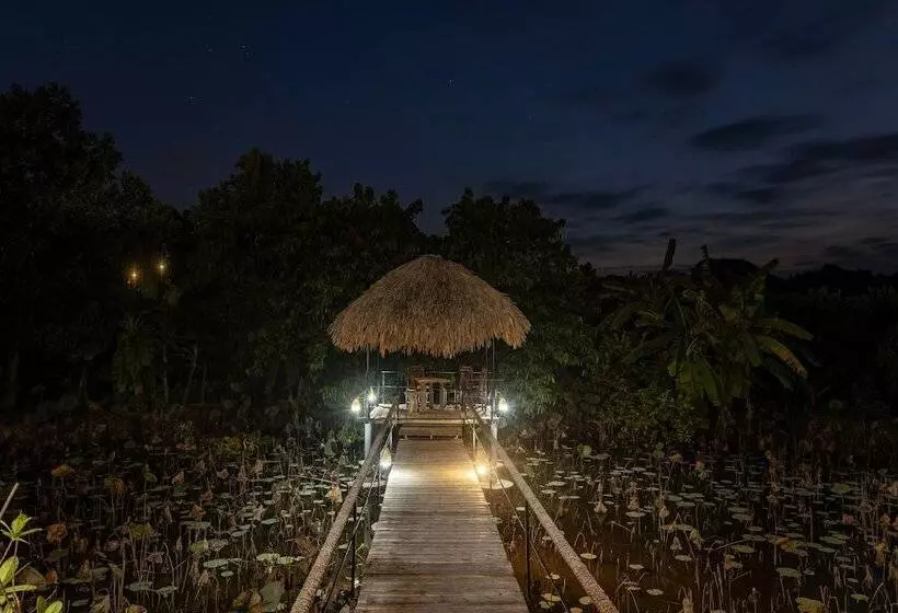 هتل Nan House  Tam Coc