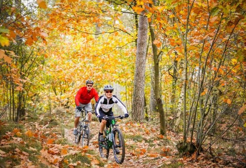 אתר נופש Landal Aelderholt