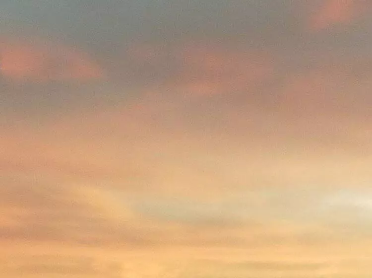 Bergnest Die Frühstückspension