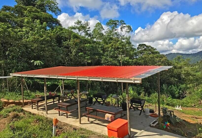 酒店 Happy Garden Resort   Hostel