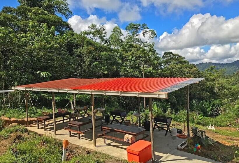 酒店 Happy Garden Resort   Hostel