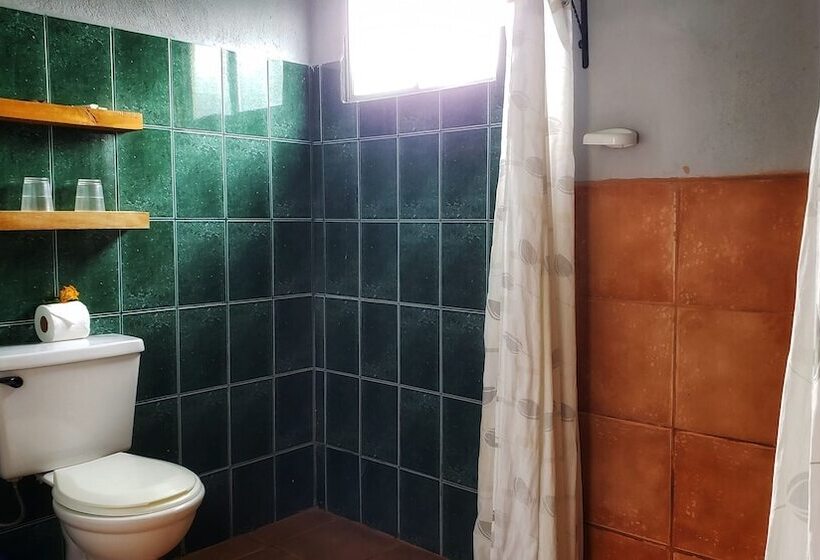 Bed and Breakfast Saltish Hotel & Villas