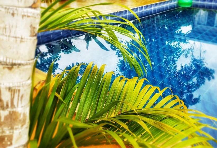 Bed and Breakfast Saltish Hotel & Villas