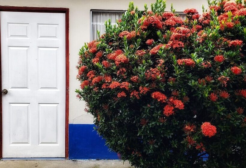 Bed and Breakfast Saltish Hotel & Villas