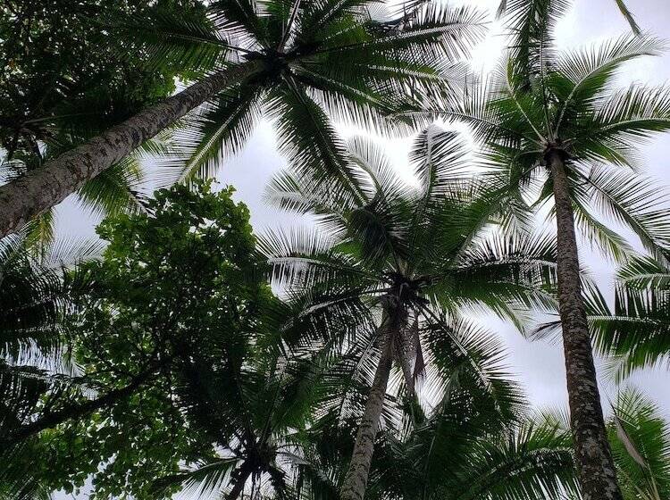 Bed and Breakfast Saltish Hotel & Villas