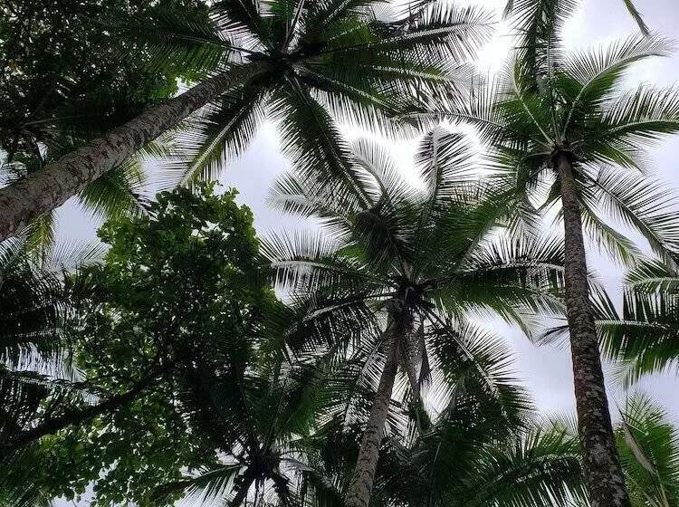 Aamiaismajoitus (B&B) Saltish Hotel & Villas