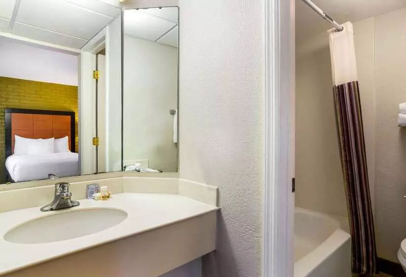 בית מלון כפרי La Quinta Inn Tampa Airport Stadium Westshore