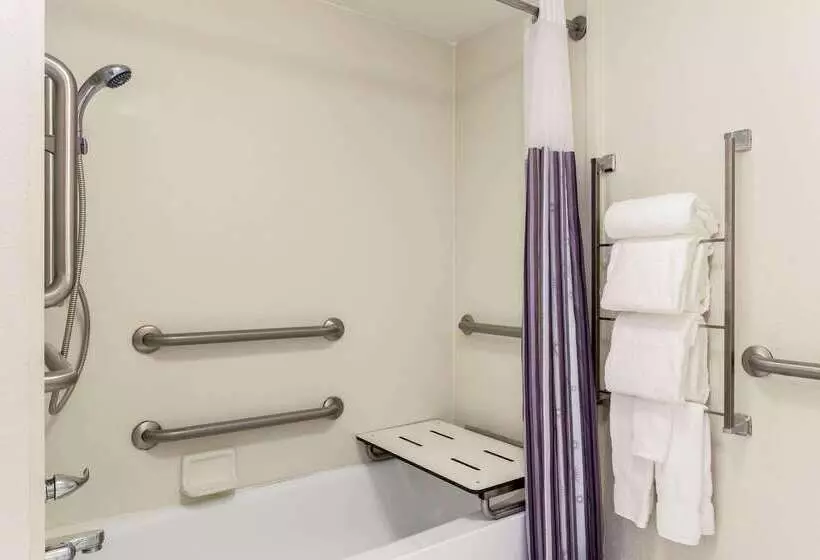 בית מלון כפרי La Quinta Inn Tampa Airport Stadium Westshore