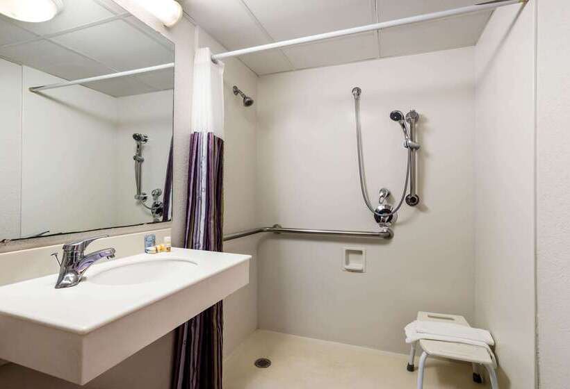 酒店 La Quinta Inn Tampa Airport Stadium Westshore