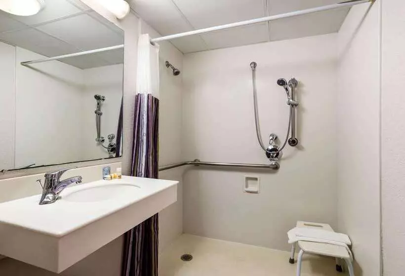 בית מלון כפרי La Quinta Inn Tampa Airport Stadium Westshore