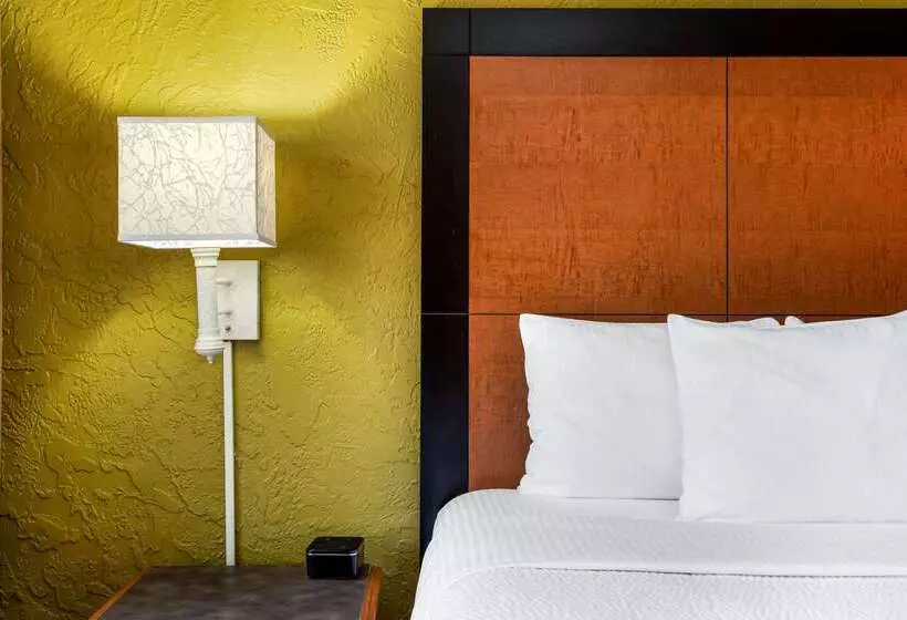 בית מלון כפרי La Quinta Inn Tampa Airport Stadium Westshore