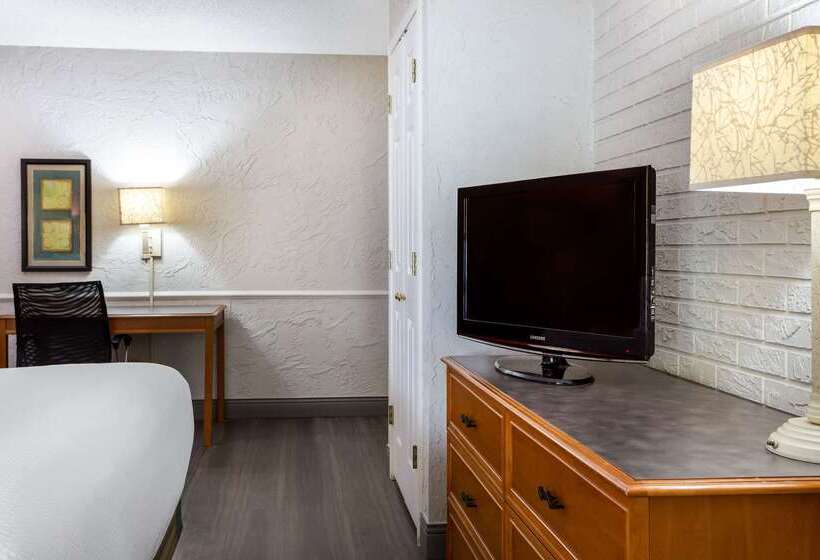 酒店 La Quinta Inn Tampa Airport Stadium Westshore