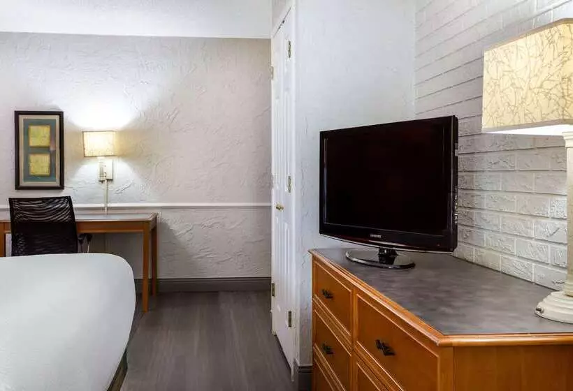 בית מלון כפרי La Quinta Inn Tampa Airport Stadium Westshore