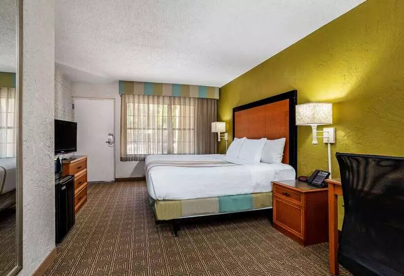 בית מלון כפרי La Quinta Inn Tampa Airport Stadium Westshore