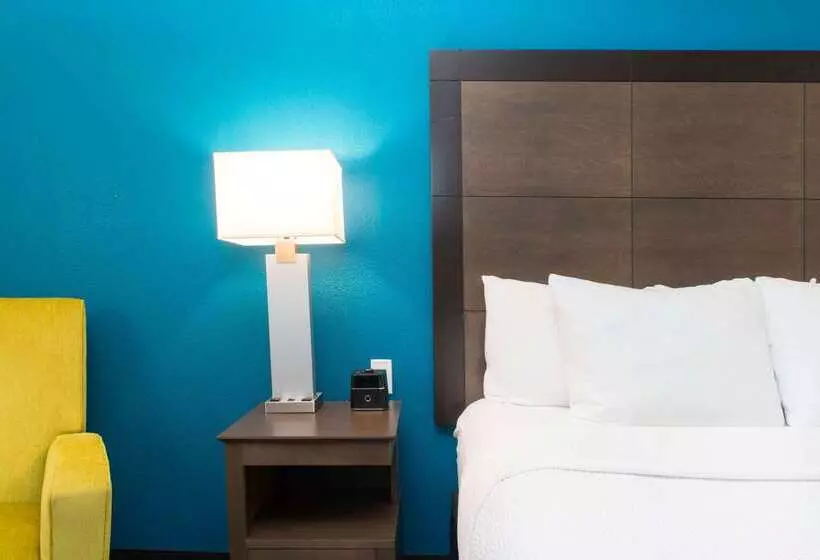 ホテル La Quinta By Wyndham Tampa Brandon Regency Park