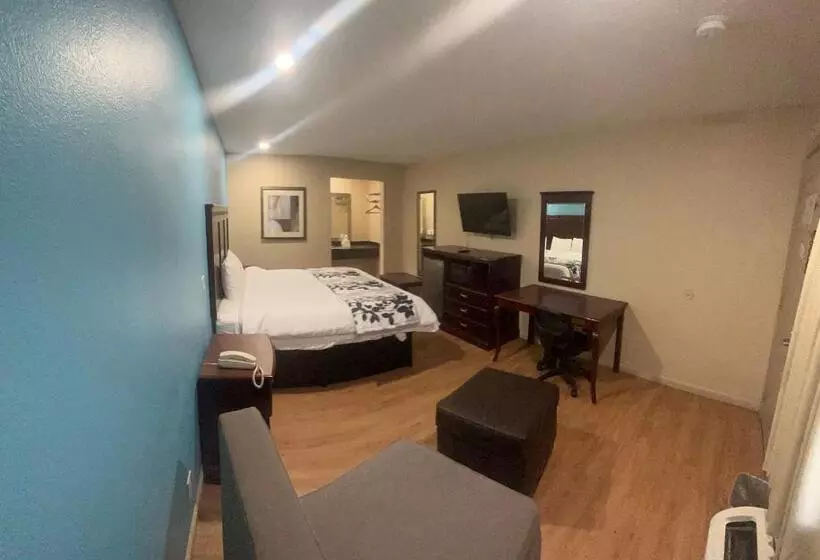 Отель Blue Star Inn