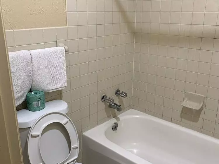 Отель Blue Star Inn