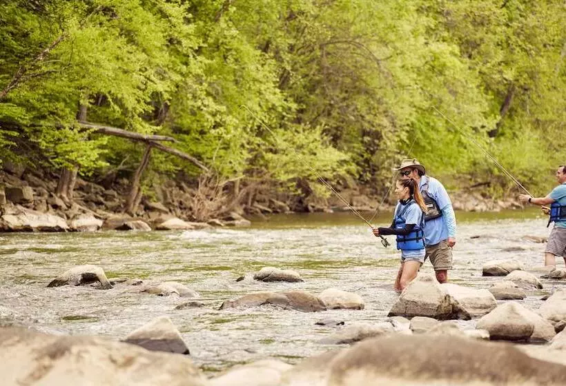 Lansdowne Resort And Spa